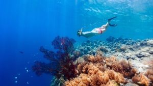 Plongée, à la découverte du cœur profond de Pantelleria