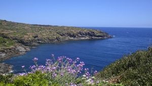 What to see in Pantelleria: the Island’s attractions